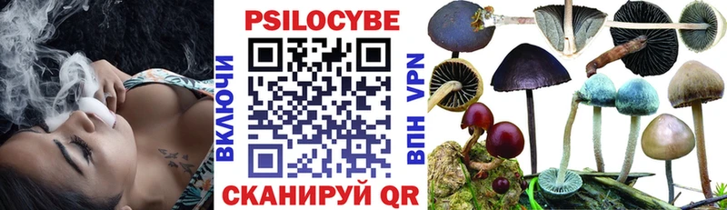 Галлюциногенные грибы Cubensis  Таштагол 
